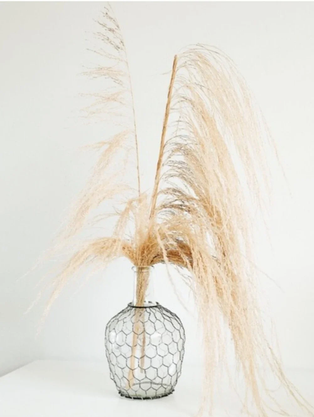 Anthropologie Caged Jug Vase